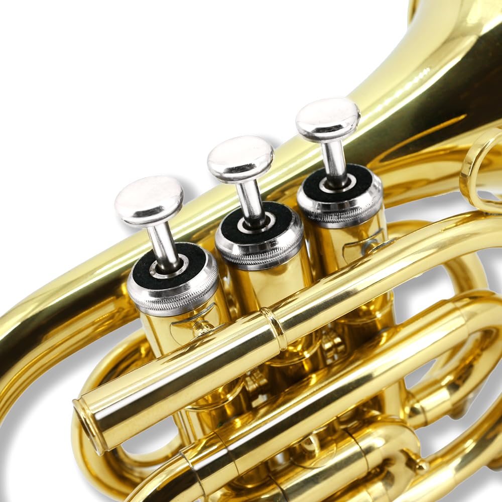 Pocket Trumpet Mini Brass Instrument with 7C Mouthpiece & Case D2876