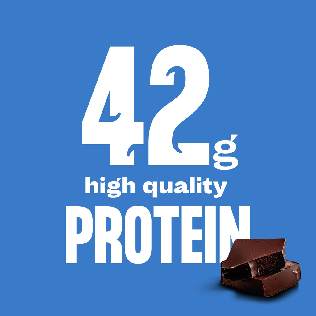 Chocolate High Protein Shake 42g 14oz 12 Pack E993