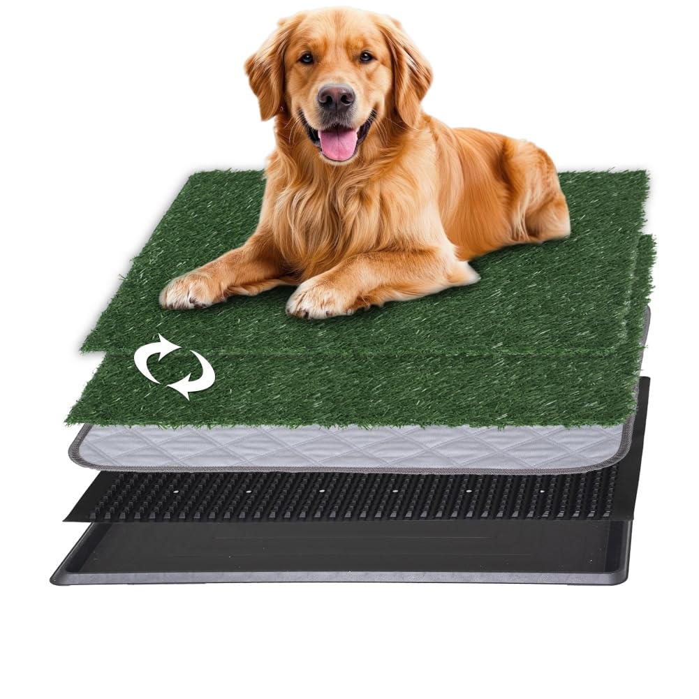 Reusable Pet Grass Potty with 2-Pack Replaceable Artificial Grass C579