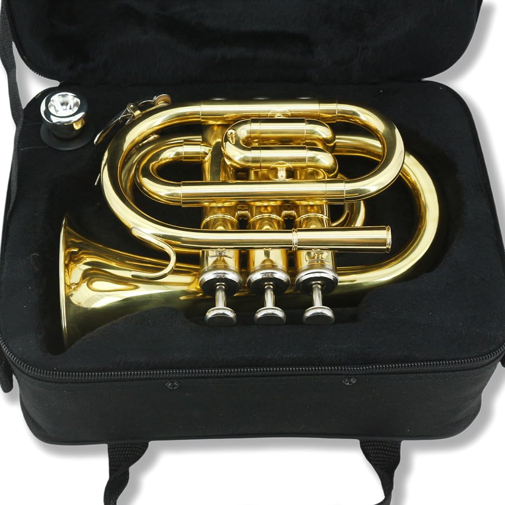 Pocket Trumpet Mini Brass Instrument with 7C Mouthpiece & Case D2876