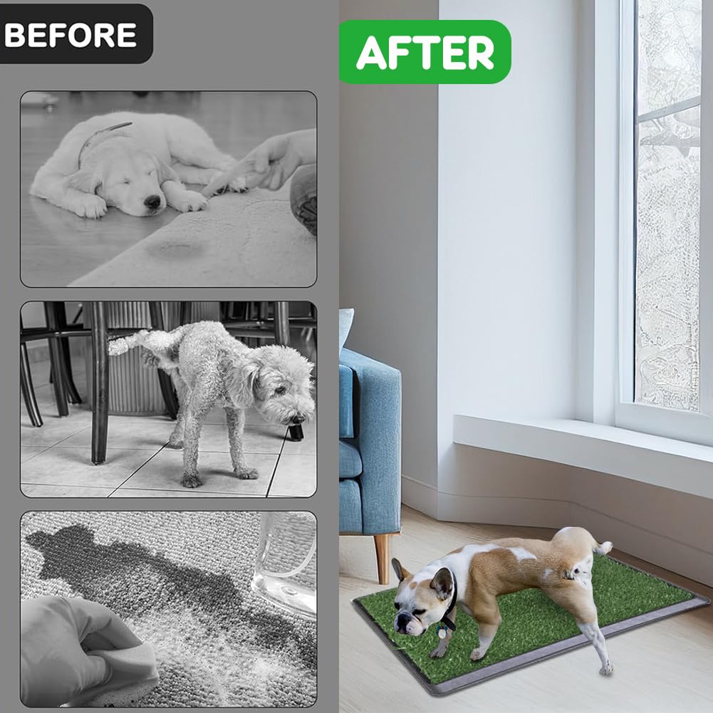 Reusable Pet Grass Potty with 2-Pack Replaceable Artificial Grass C579
