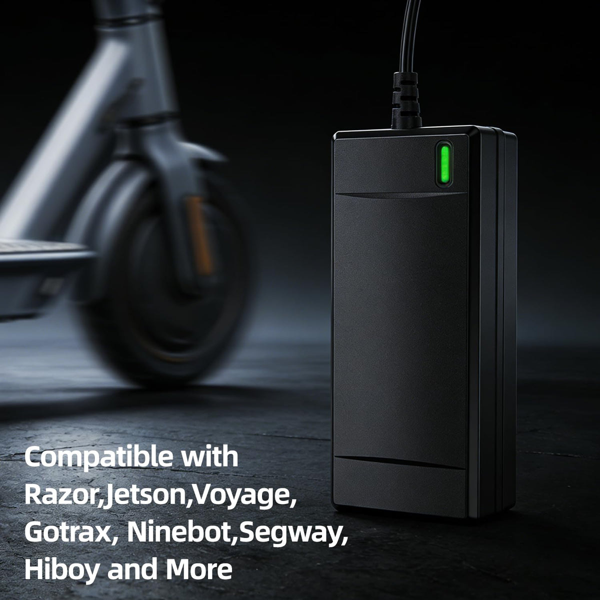 54.6V 2A Electric Bike Charger S506660