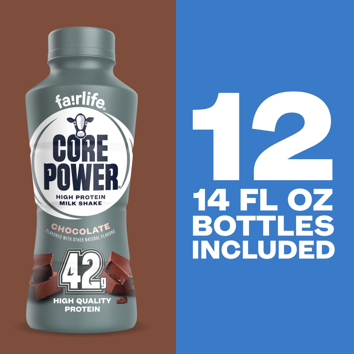 Chocolate High Protein Shake 42g 14oz 12 Pack E993