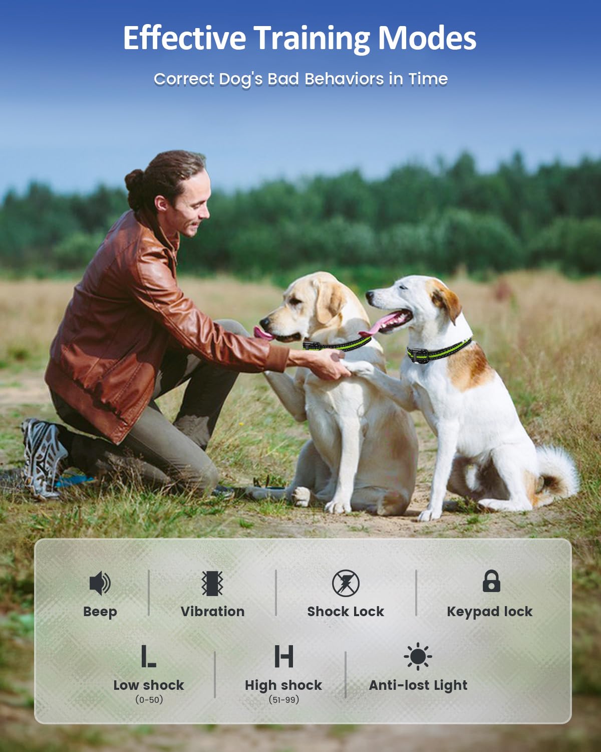 Dog Training Collar B455339
