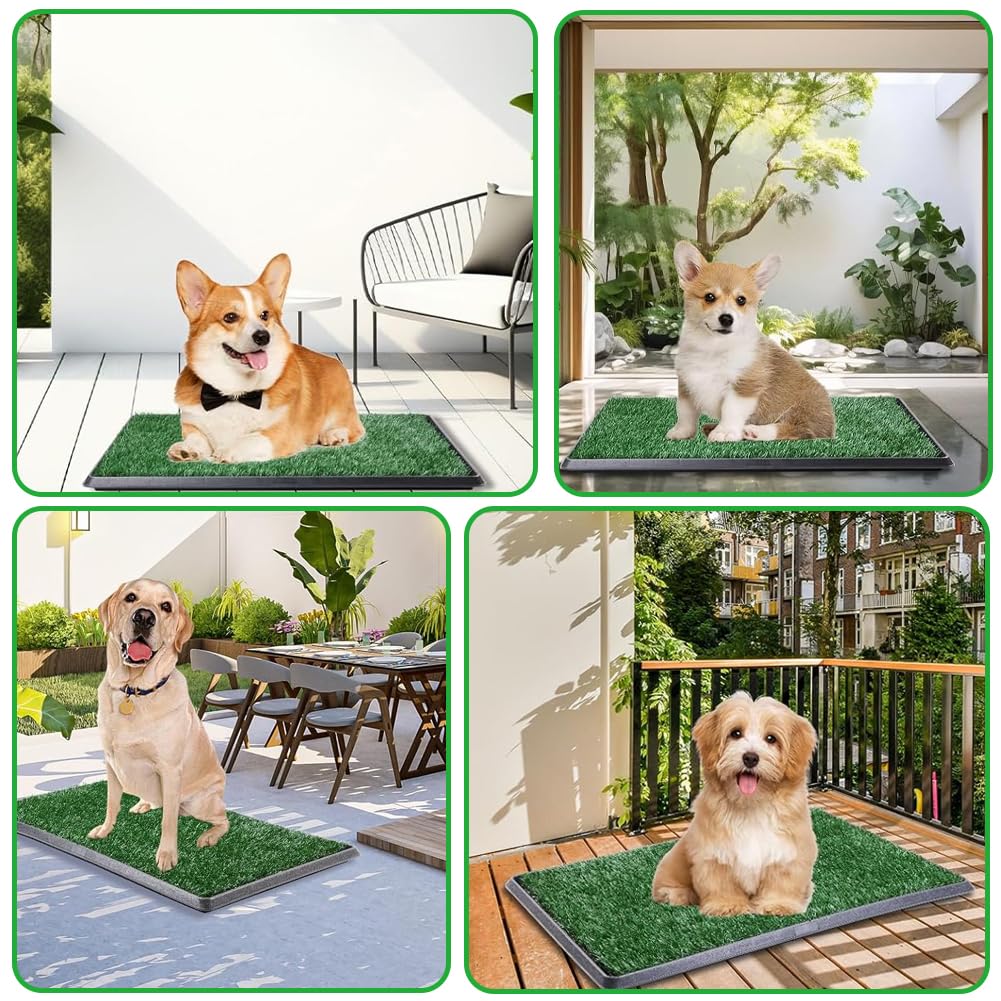 Reusable Pet Grass Potty with 2-Pack Replaceable Artificial Grass C579