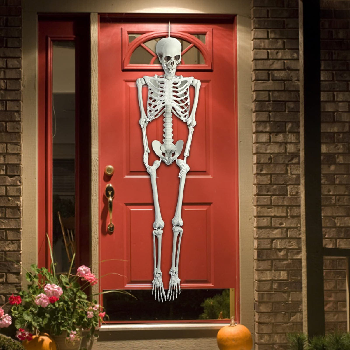 5.4FT Poseable Life Size Plastic Skeleton C58841