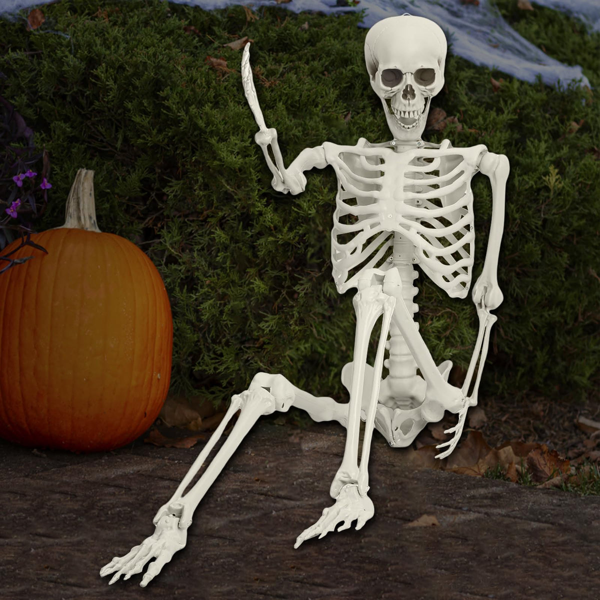 5.4FT Poseable Life Size Plastic Skeleton C58841