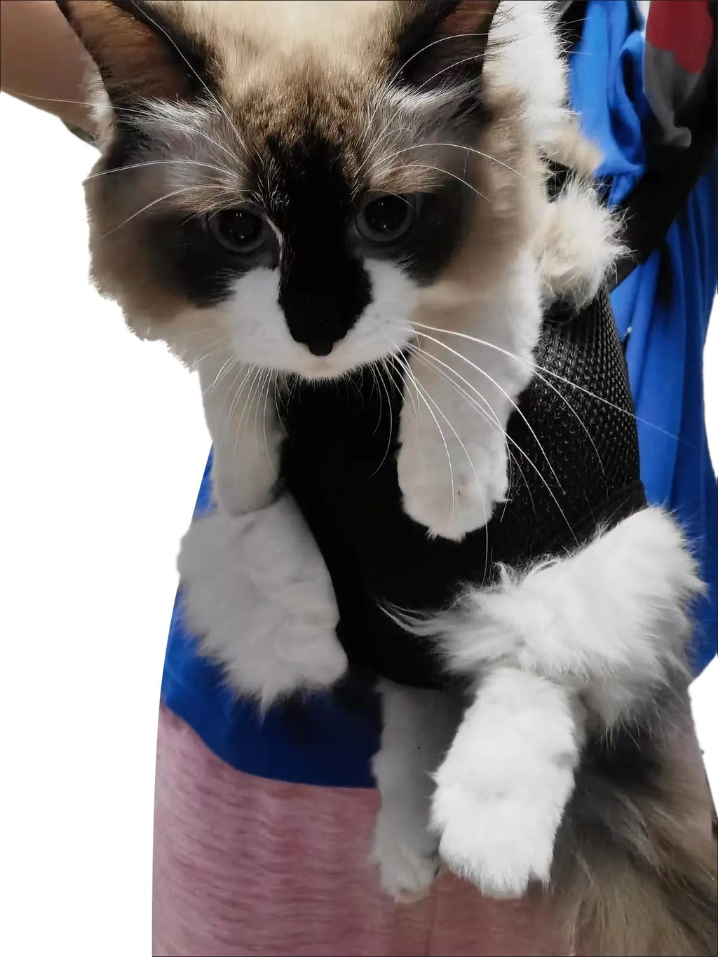 Adjustable Pet Carrier Backpack O833
