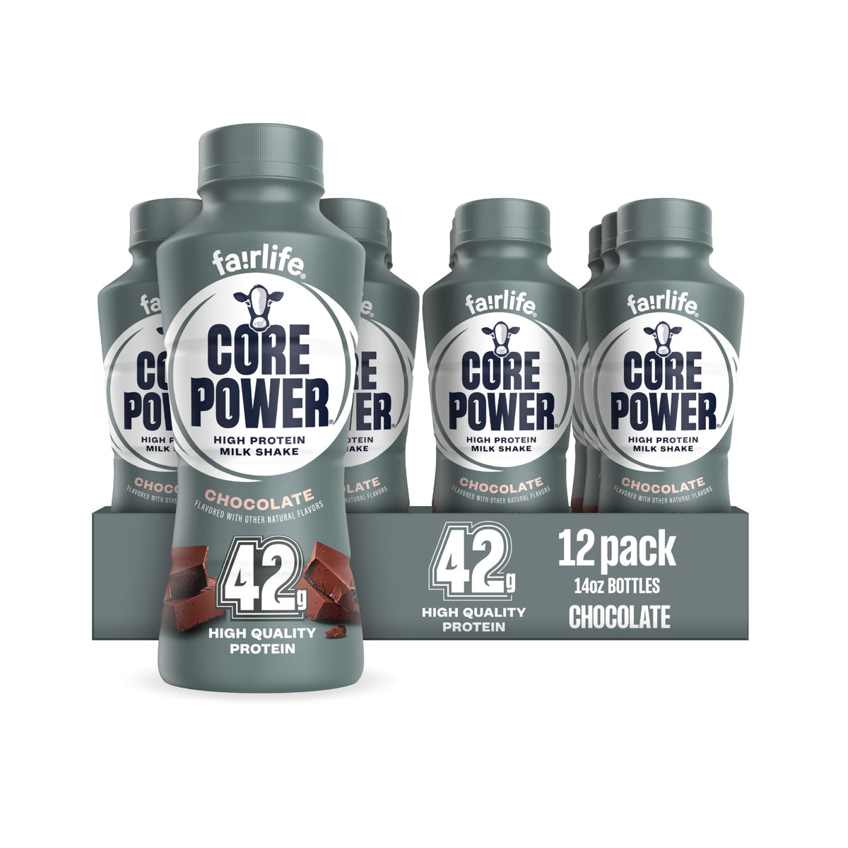 Chocolate High Protein Shake 42g 14oz 12 Pack E993