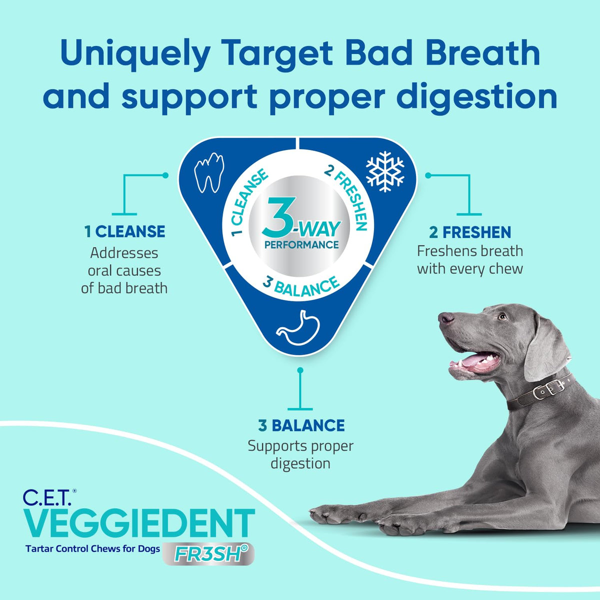 Plaque and Tartar Control Chews for Dogs, Medium B58212