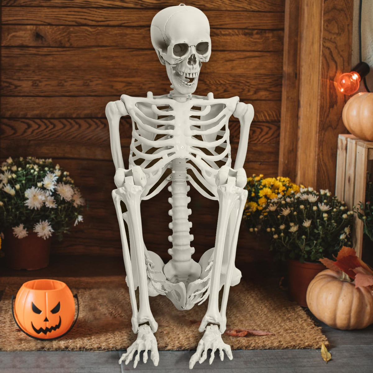 5.4FT Poseable Life Size Plastic Skeleton C58841