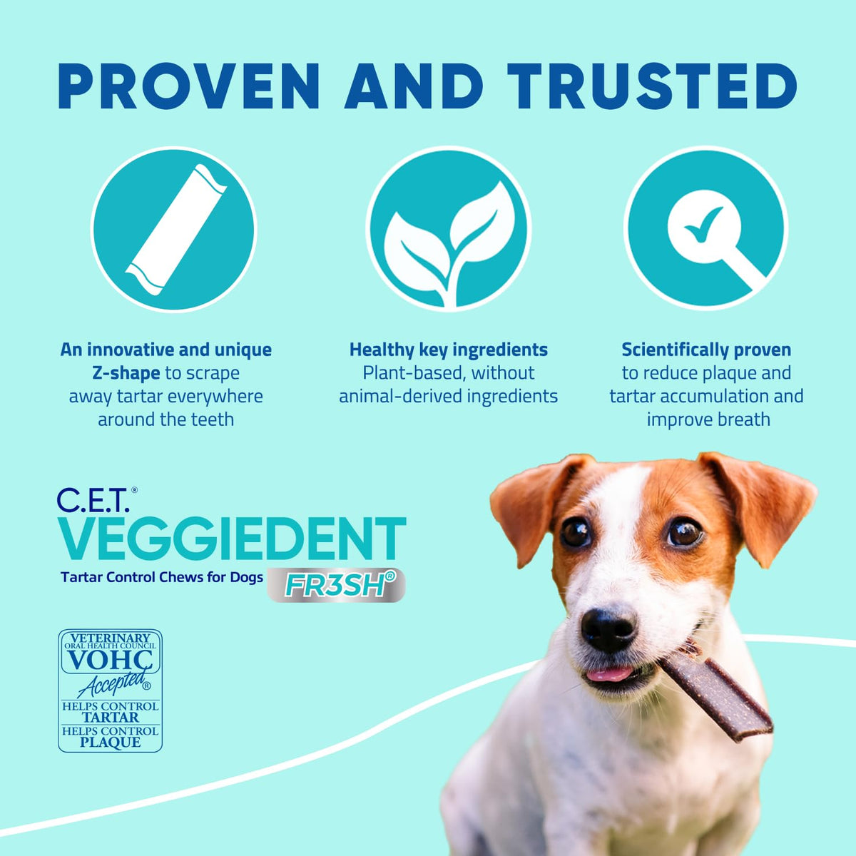 Plaque and Tartar Control Chews for Dogs, Medium B58212