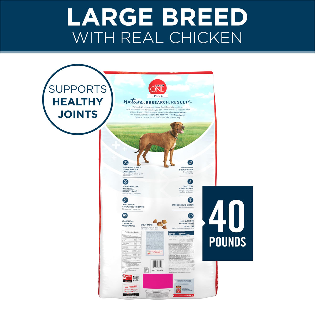 Adult Large Breed Dry Dog Food Chicken 40 lb Bag J86296
