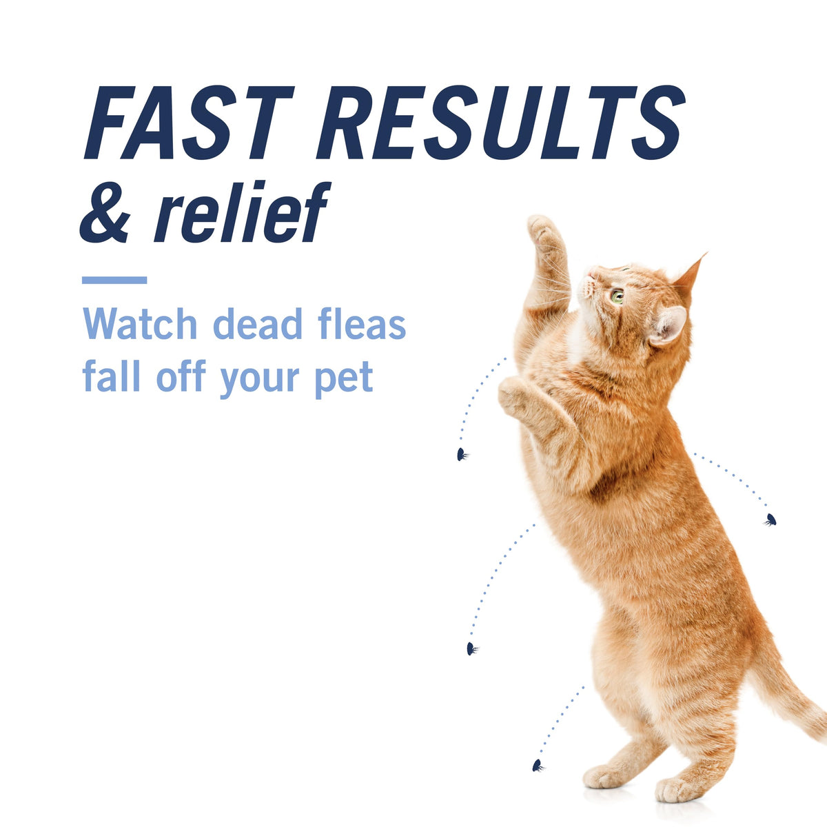 Oral Flea Tablets Cats 2-25 lbs, Nitenpyram, 6-Dose W134