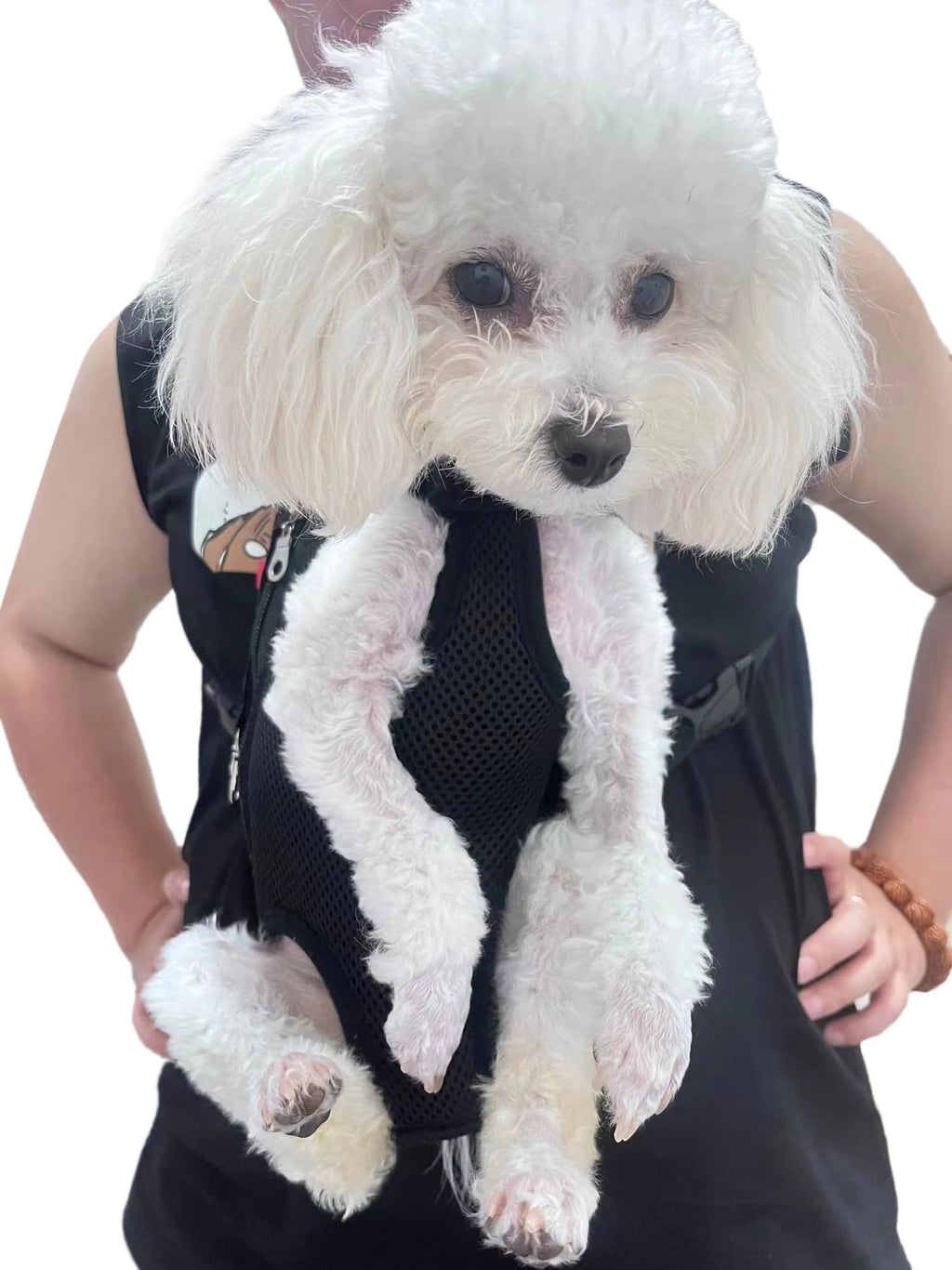 Adjustable Pet Carrier Backpack O833