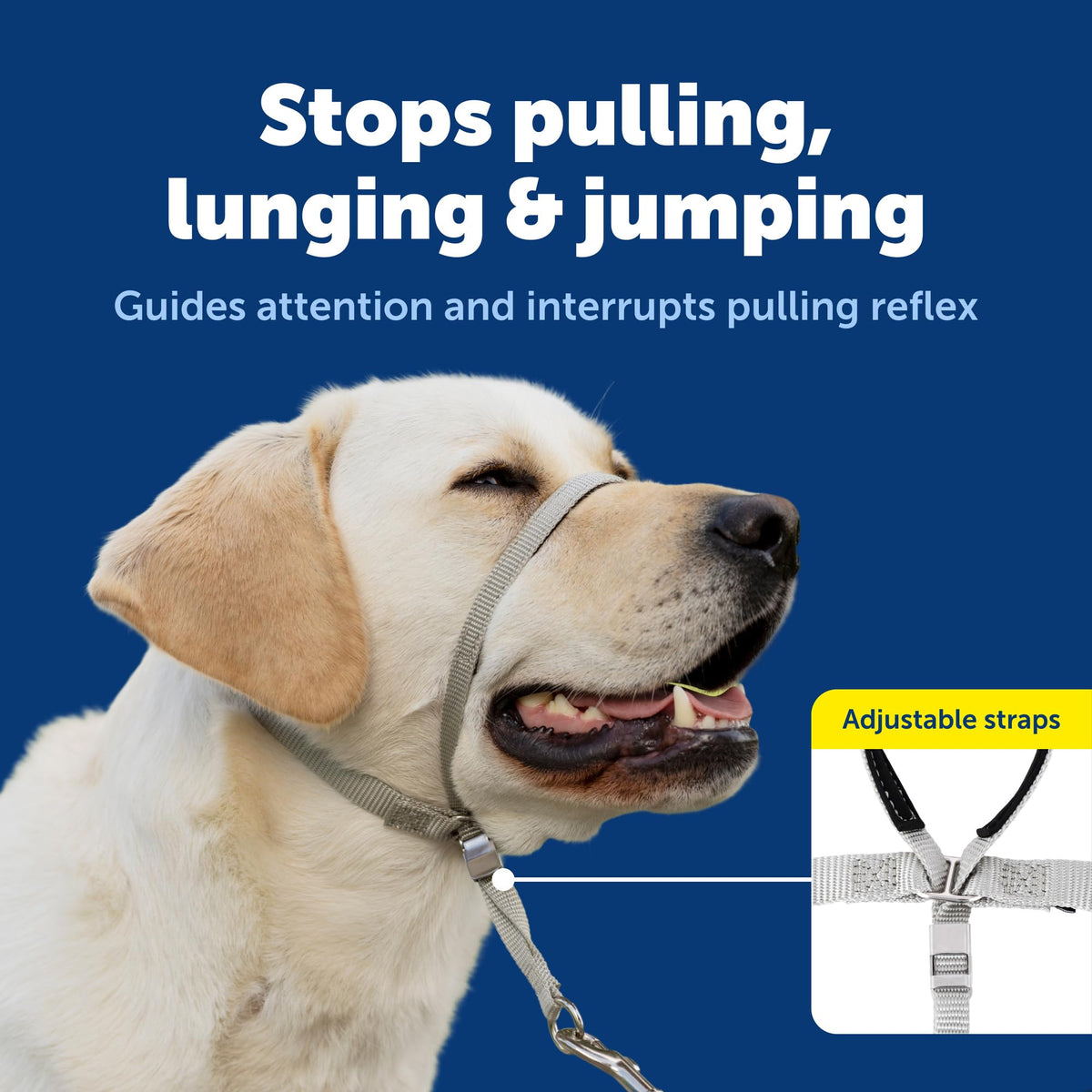 Black Medium No Pull Dog Headcollar M126