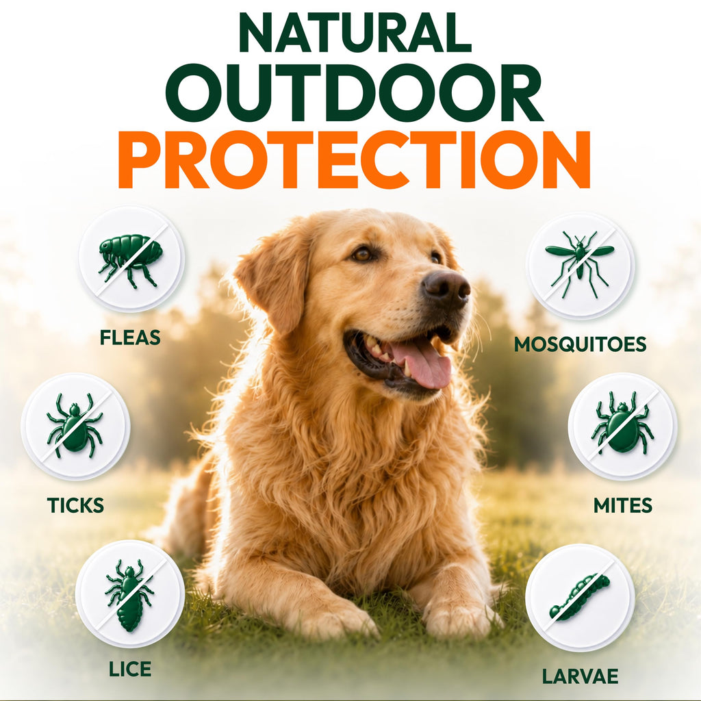 Flea and Tick Prevention for Dogs Chews Q60952