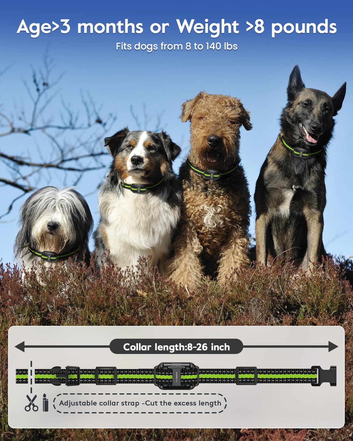 Dog Training Collar B455339