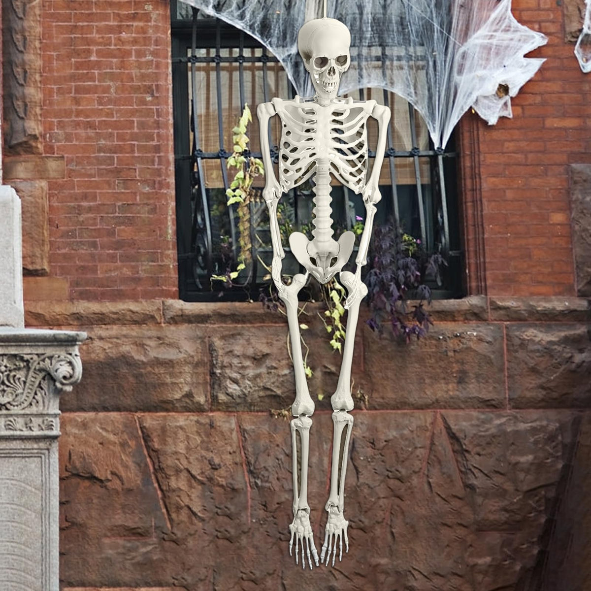 5.4FT Poseable Life Size Plastic Skeleton C58841