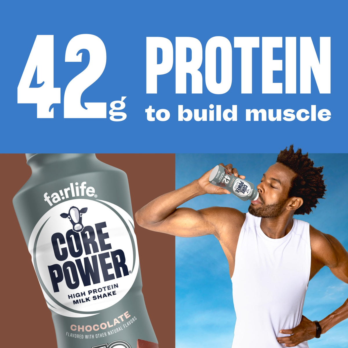 Chocolate High Protein Shake 42g 14oz 12 Pack E993