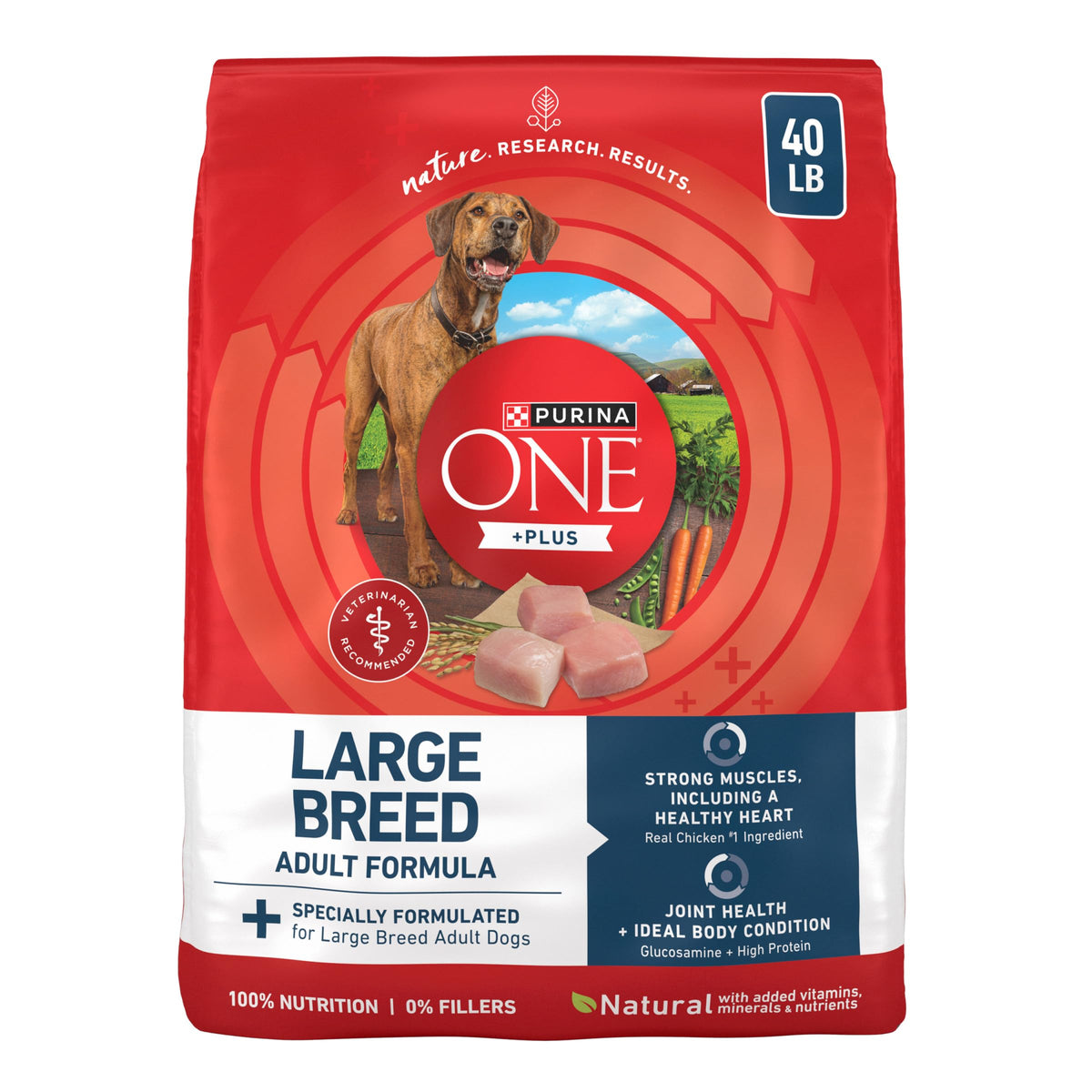 Adult Large Breed Dry Dog Food Chicken 40 lb Bag J86296