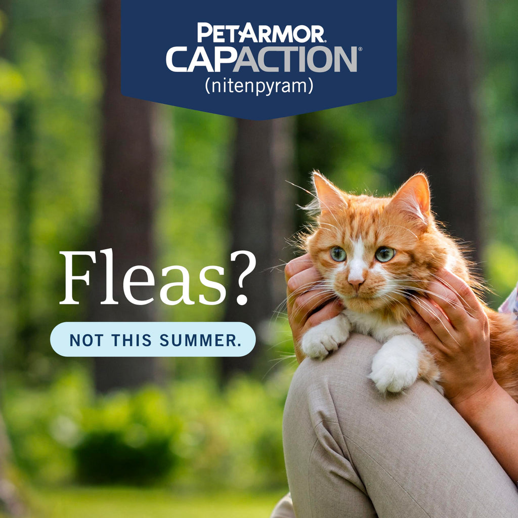 Oral Flea Tablets Cats 2-25 lbs, Nitenpyram, 6-Dose W134
