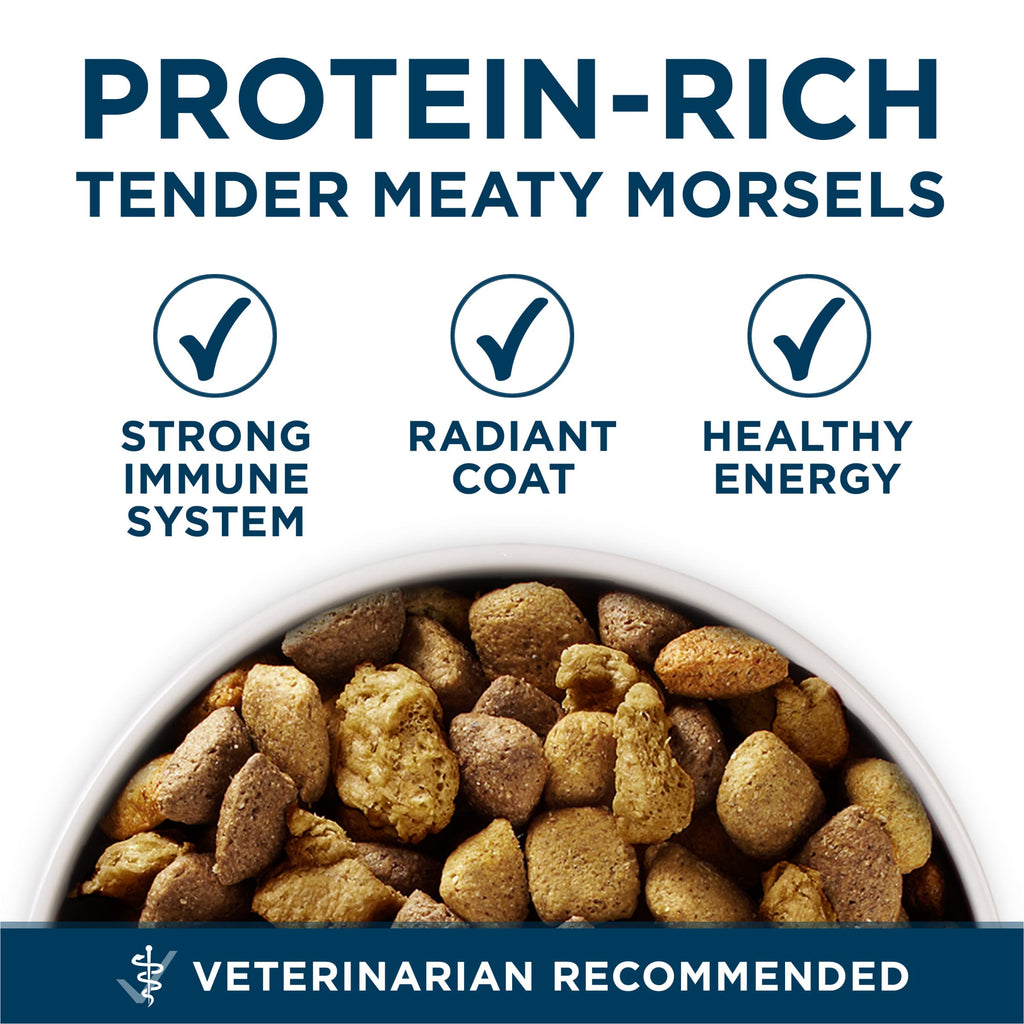 Adult Large Breed Dry Dog Food Chicken 40 lb Bag J86296