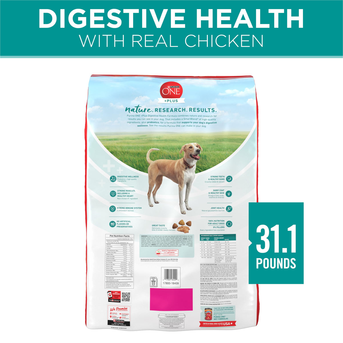 Chicken Dry Dog Food 31.1 lb Bag I9356