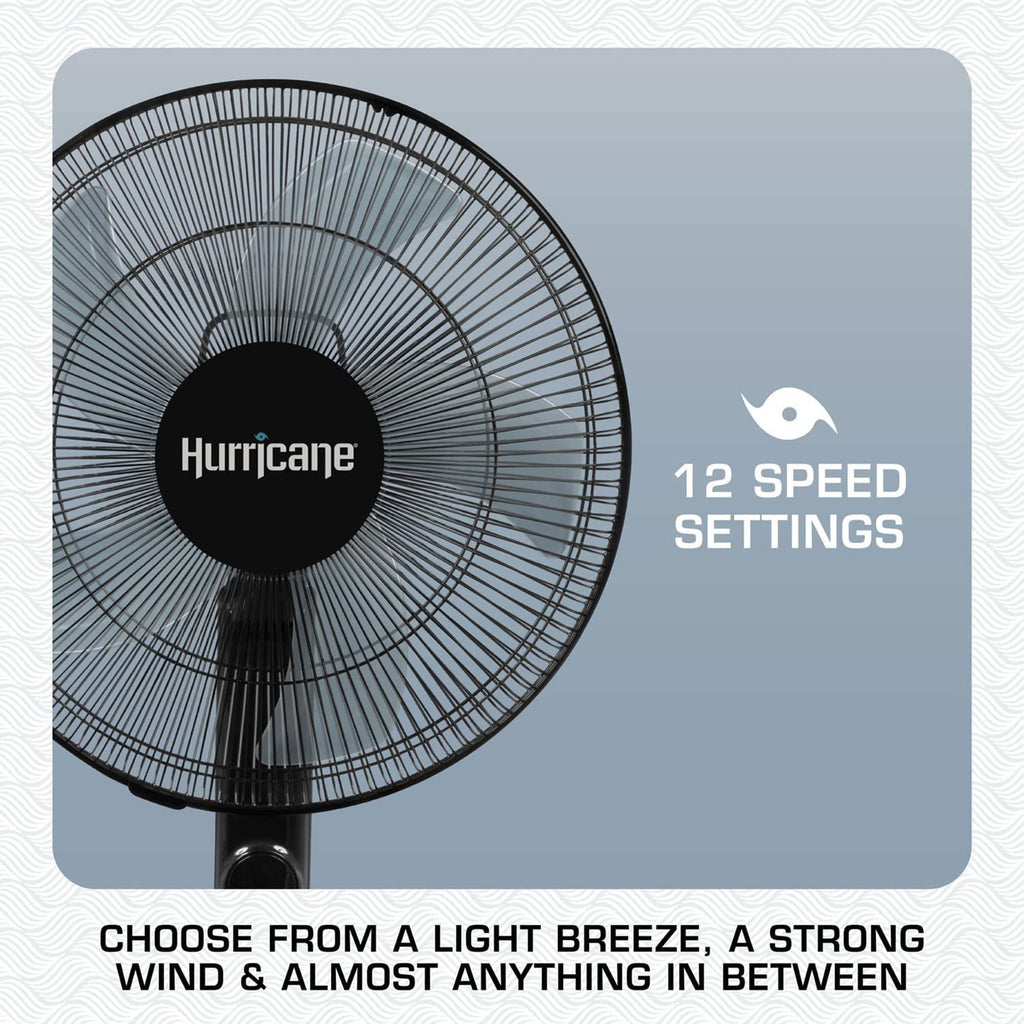 2 Pack Oscillating Pedestal Stand Fan, 12-Speed, 16", Black with Remote Control L765