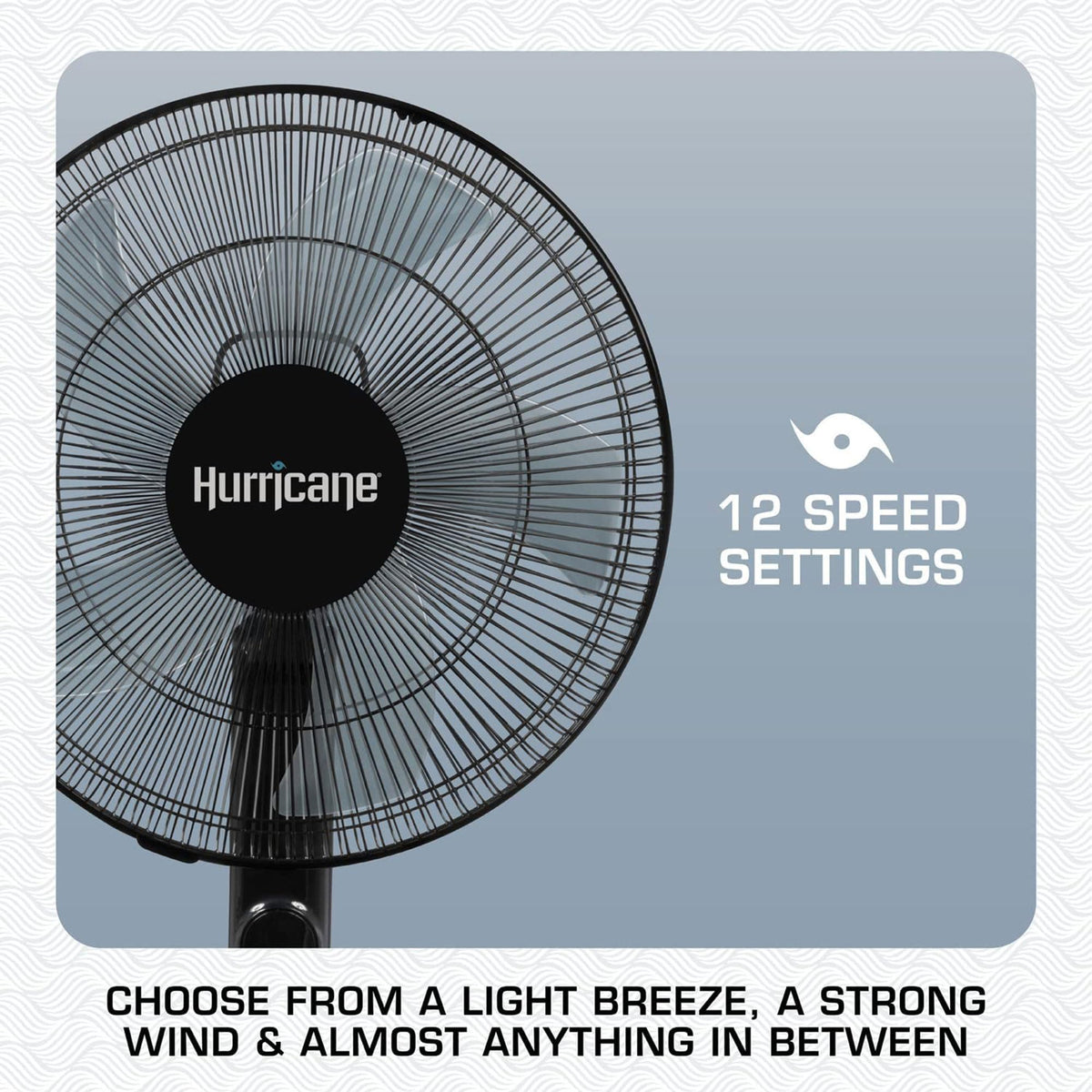 2 Pack Oscillating Pedestal Stand Fan, 12-Speed, 16", Black with Remote Control L765