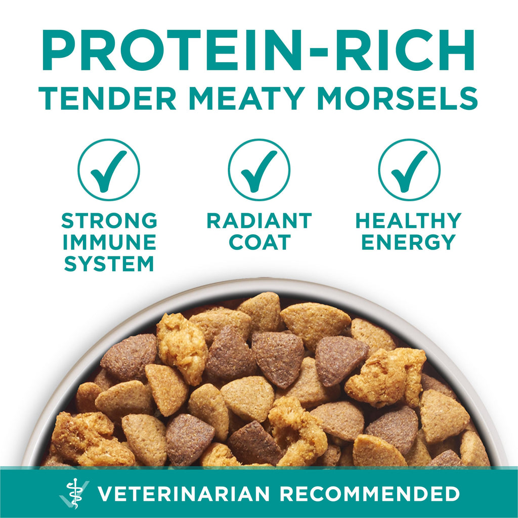 Chicken Dry Dog Food 31.1 lb Bag I9356