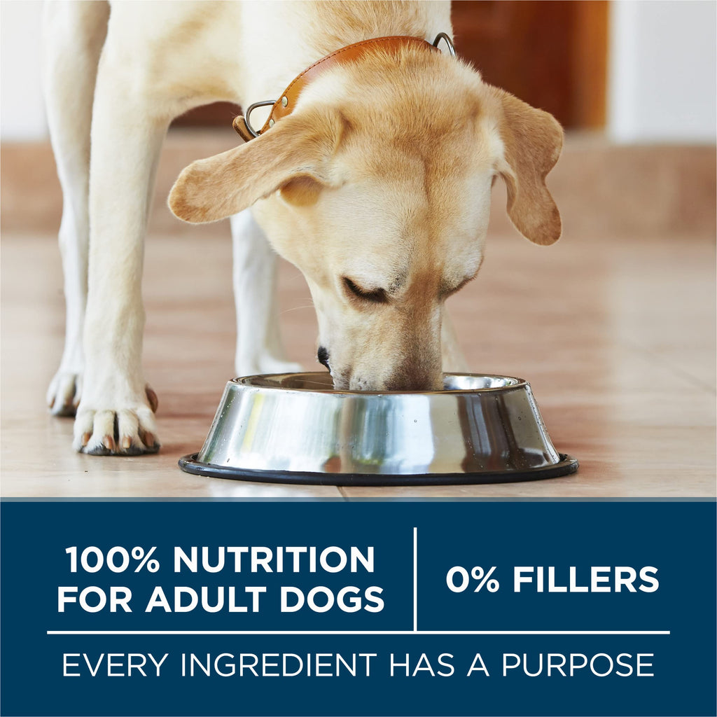Adult Large Breed Dry Dog Food Chicken 40 lb Bag J86296