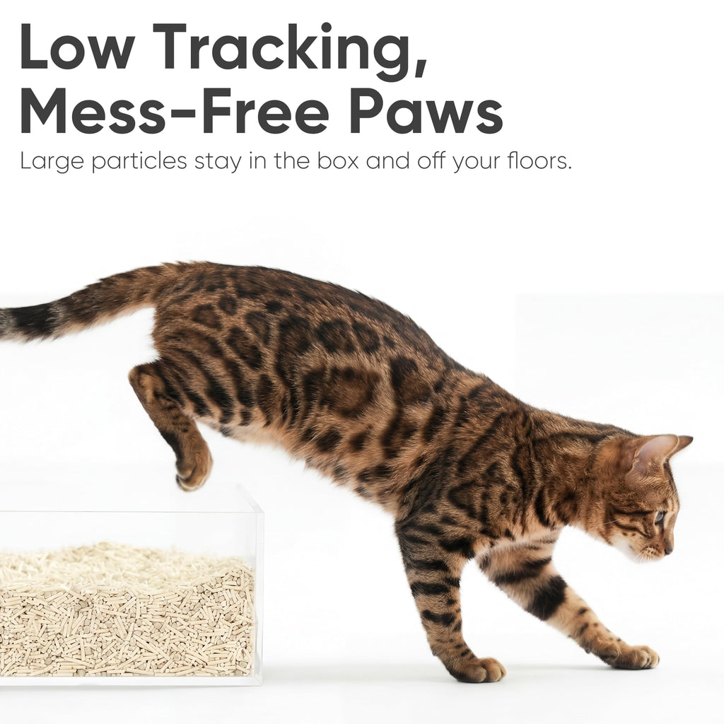 Tofu Cat Litter, Corn Blend, Clumping, Odor Control, Low Dust 18lb Y16259