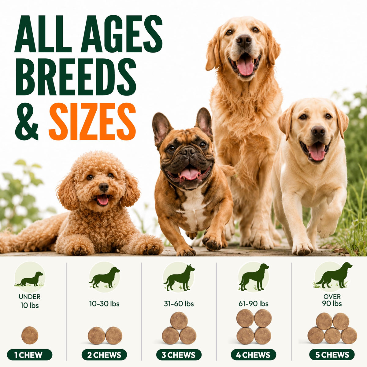 Flea and Tick Prevention for Dogs Chews Q60952
