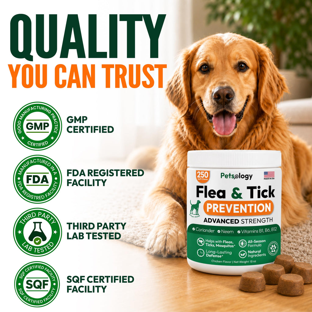 Flea and Tick Prevention for Dogs Chews Q60952
