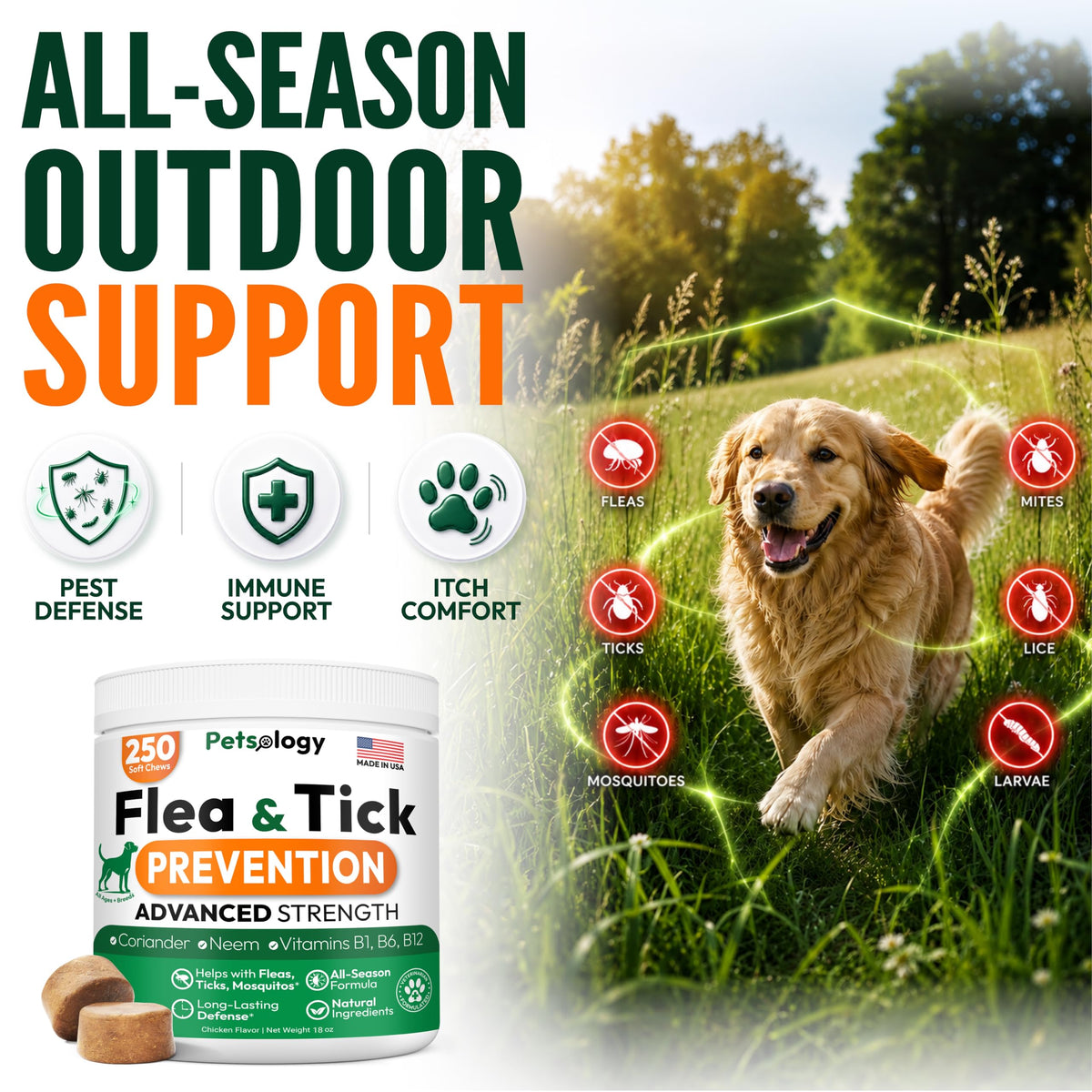 Flea and Tick Prevention for Dogs Chews Q60952